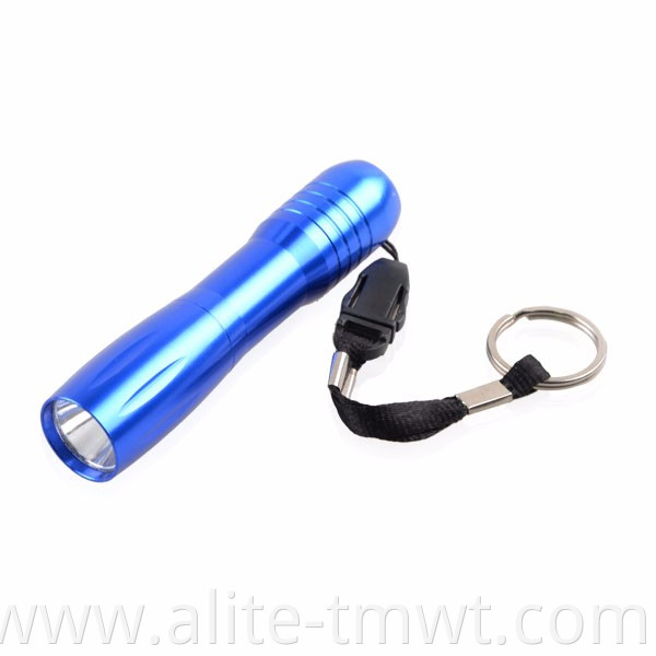 AA Battery Super Bright EDC 0.5W LED Pocket Cheap Mini Flashlight